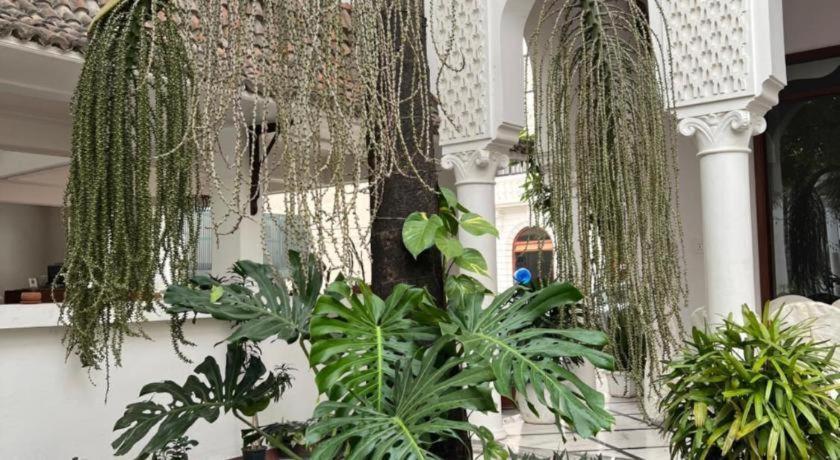 Hotel Club Denovo Butwāl Zewnętrze zdjęcie